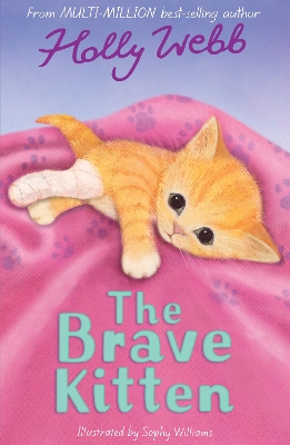 Brave Kitten book