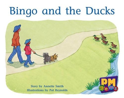 Bingo and the Ducks book