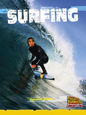 Surfing book