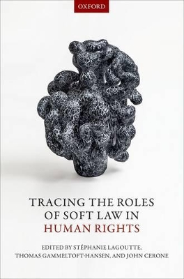 Tracing the Roles of Soft Law in Human Rights book