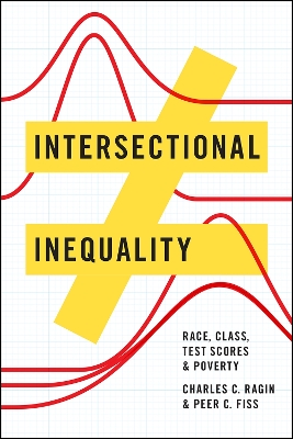 Intersectional Inequality book