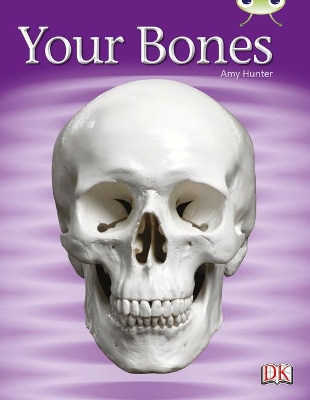 Bug Club Non-fiction Green C/1B Your Bones 6-pack book