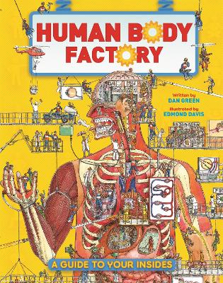 The Human Body Factory: A Guide To Your Insides by Dan Green