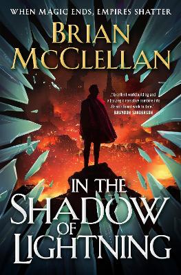 In the Shadow of Lightning book