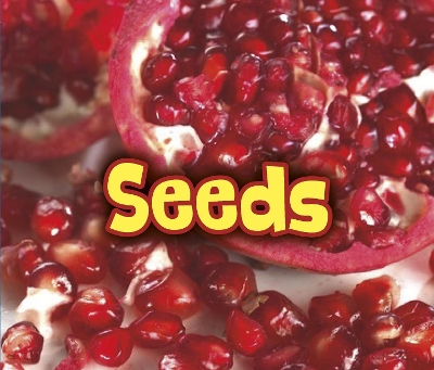 All About Seeds book