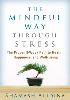 Mindful Way through Stress book