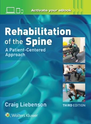 Rehabilitation of the Spine: A Practitioners Manual book