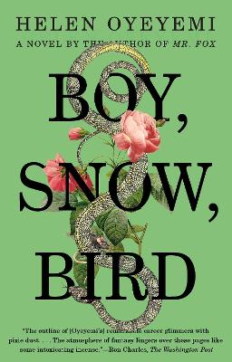 Boy, Snow, Bird book