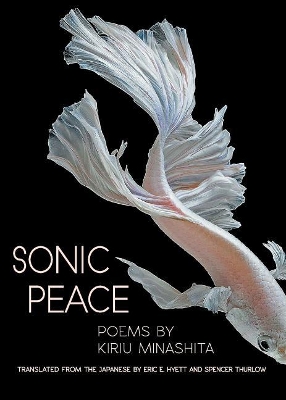 Sonic Peace book