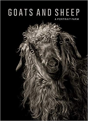 Goats and Sheep. A Portrait Farm book