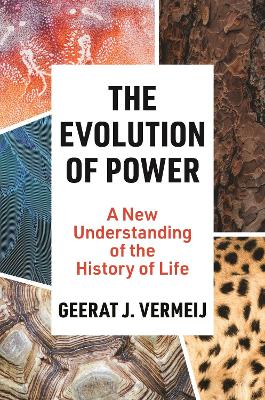 The Evolution of Power: A New Understanding of the History of Life book