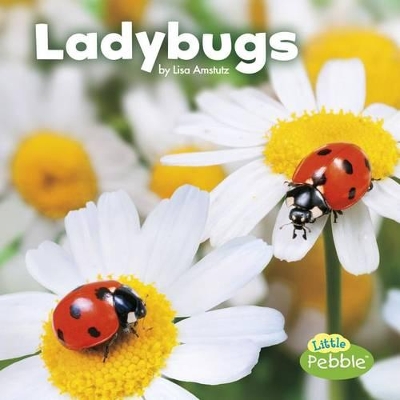 Ladybugs book
