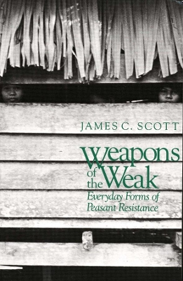Weapons of the Weak book