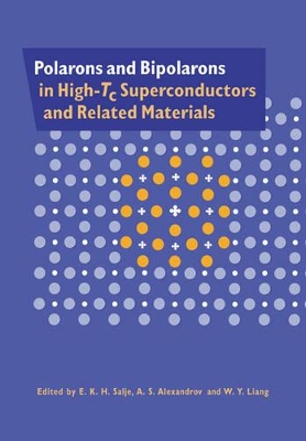 Polarons and Bipolarons in High-Tc Superconductors and Related Materials book