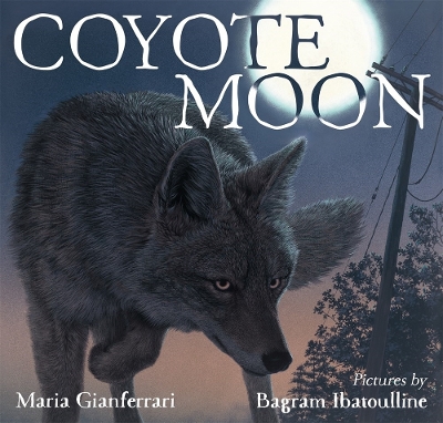 Coyote Moon book