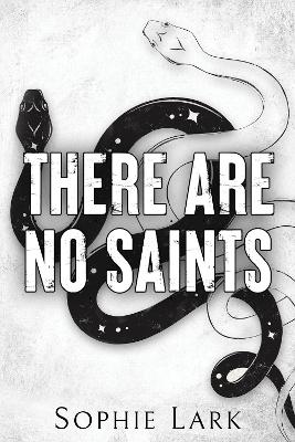 There Are No Saints book