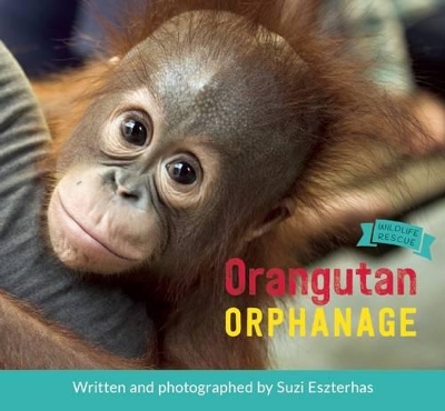 Orangutan Orphanage book