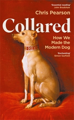 Collared: How We Made the Modern Dog book