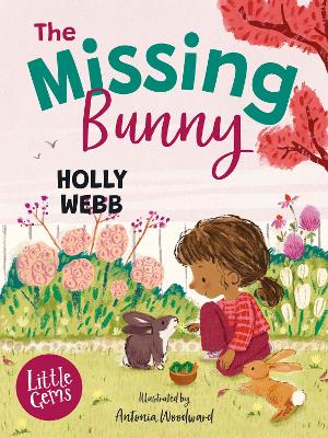 Little Gems – The Missing Bunny book