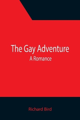 The Gay Adventure: A Romance book