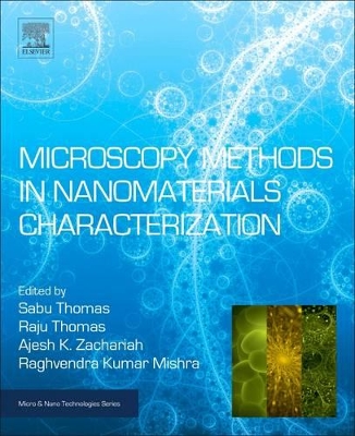 Microscopy Methods in Nanomaterials Characterization book