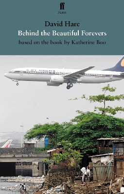 Behind the Beautiful Forevers book