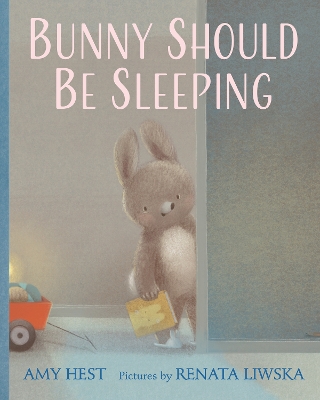 Bunny Should Be Sleeping book