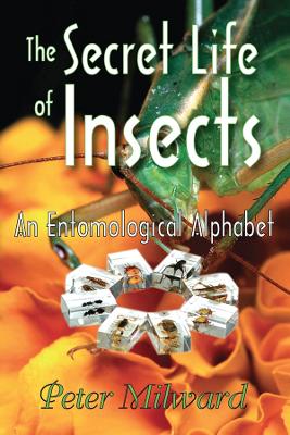 The Secret Life of Insects: An Entomological Alphabet book