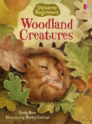 Woodland Creatures book