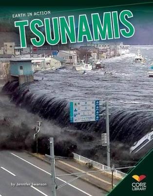 Tsunamis book