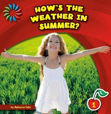 How's the Weather in Summer? book