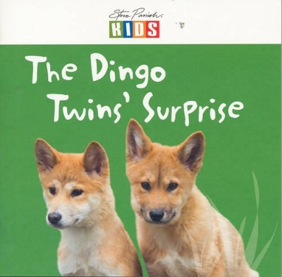 The Dingo Twins' Surprise book