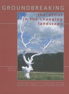 Groundbreaking: 20 Years of Public Art book