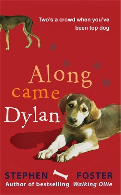 Along Came Dylan by Stephen Foster