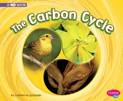 Carbon Cycle by Catherine Ipcizade