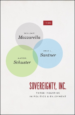 Sovereignty, Inc.: Three Inquiries in Politics and Enjoyment by William Mazzarella