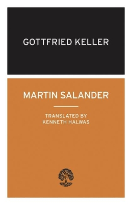 Martin Salander book