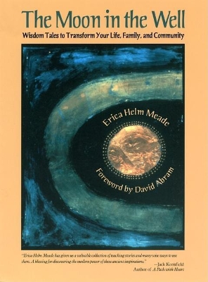 The Moon in the Well by Erica Helm Meade