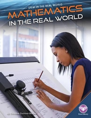 Mathematics in the Real World book