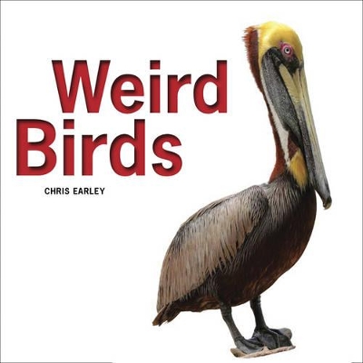 Weird Birds book