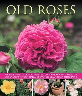 Old Fashioned Roses book