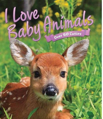I Love: Baby Animals by Camilla De La Bedoyere