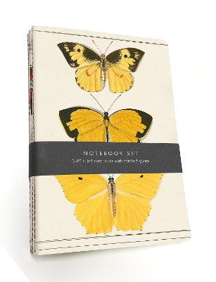 Butterfly Notebook Set: 3 A5 lined notebooks with stitched spines book