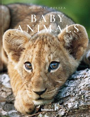 Baby Animals book