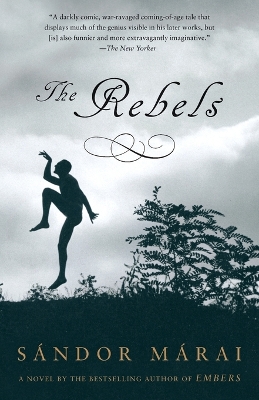 Rebels book