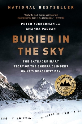 Buried in the Sky book