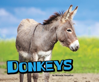 Donkeys book