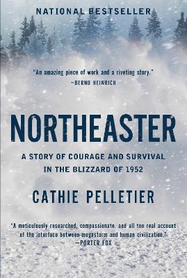 Northeaster: A Story of Courage and Survival in the Blizzard of 1952 book