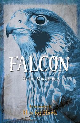 Falcon by Helen Macdonald