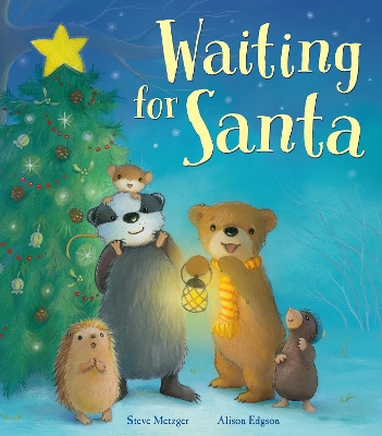 Waiting for Santa book